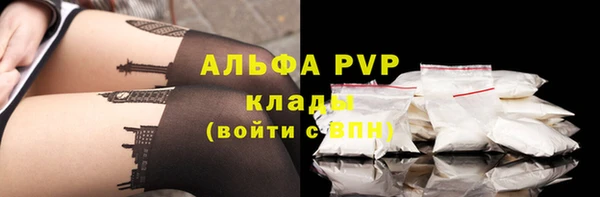 крисы Алзамай
