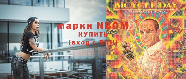 крисы Алзамай
