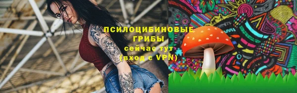 крисы Алзамай