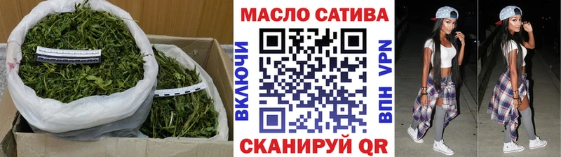 продажа наркотиков  Моздок  omg ТОР  Дистиллят ТГК THC oil 