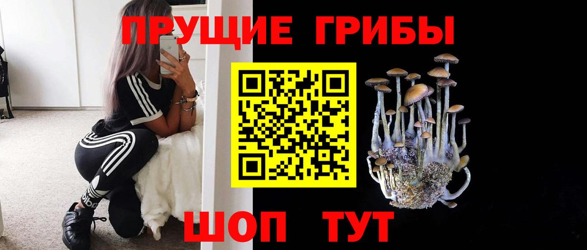 Псилоцибиновые грибы мицелий  Вход с VPN  Моздок 
