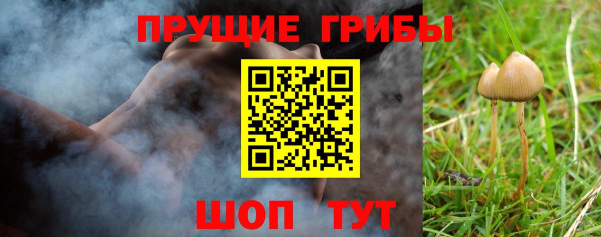 Псилоцибиновые грибы мицелий Моздок