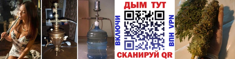 Бошки марихуана план  где можно купить наркотик  Моздок 